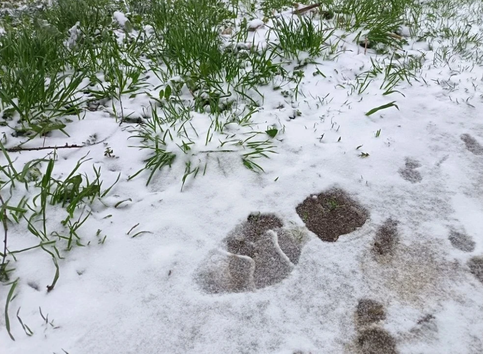 Психолог Гладких объяснила, почему внезапные изменения погоды вызывают тревогу